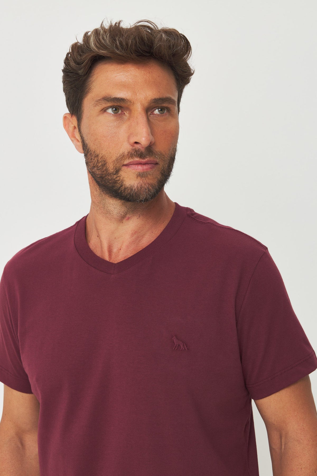 Camiseta Casual Gola V Masculina Acostamento Barca