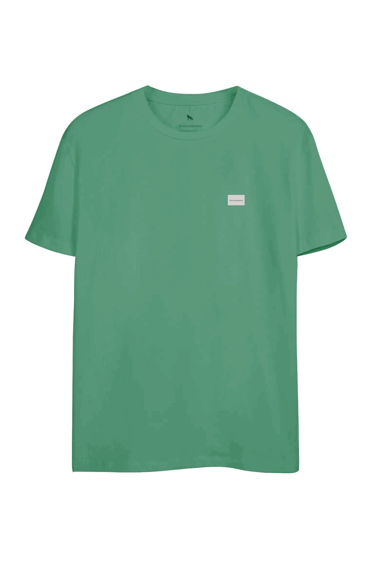 Camiseta Tag Bordada Masculina Oversize Acostamento Verde Tropical