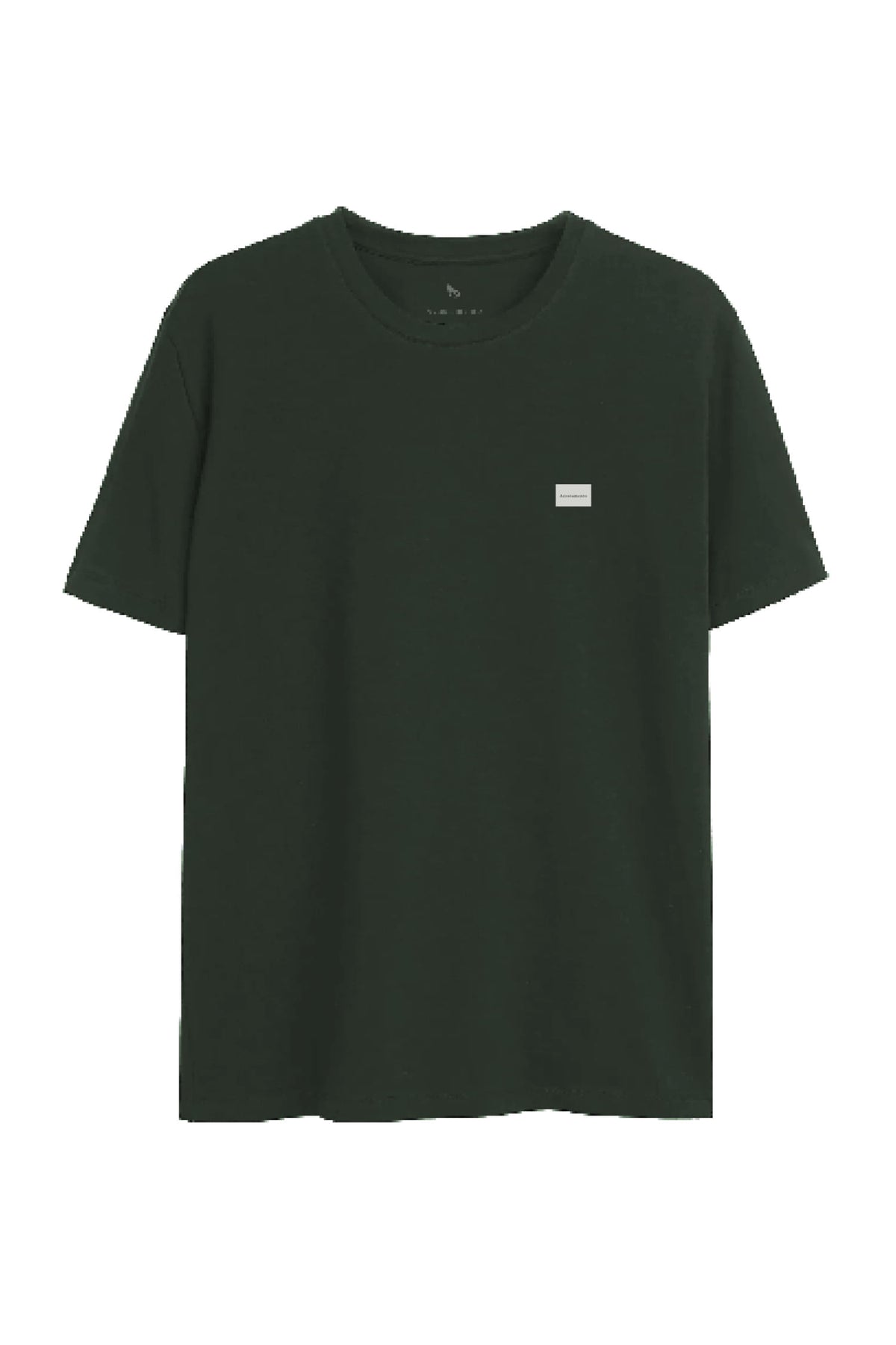 Camiseta Tag Bordada Masculina Oversize Acostamento Verde Nativo
