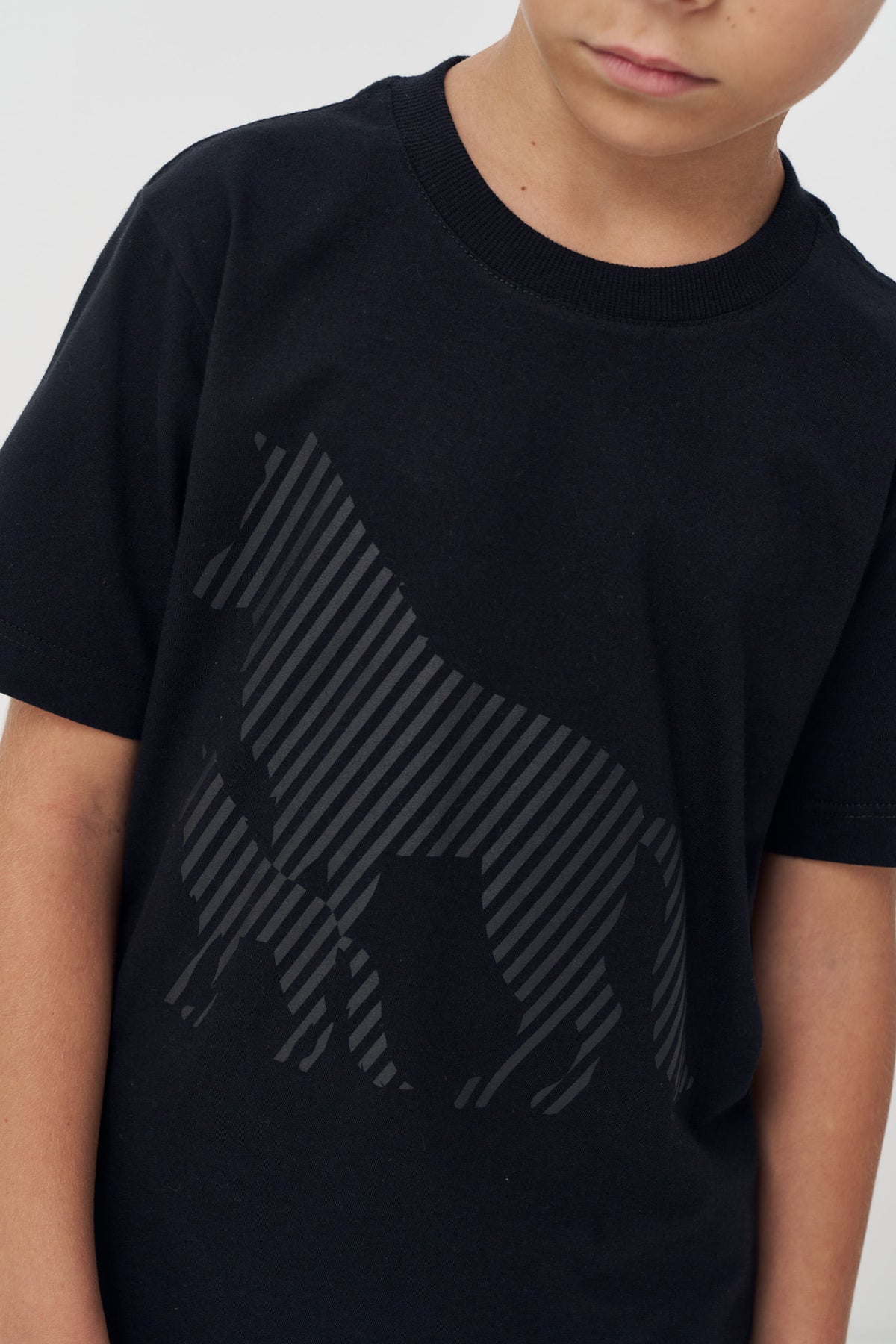 Camiseta Alpha Menino Acostamento Next Preto