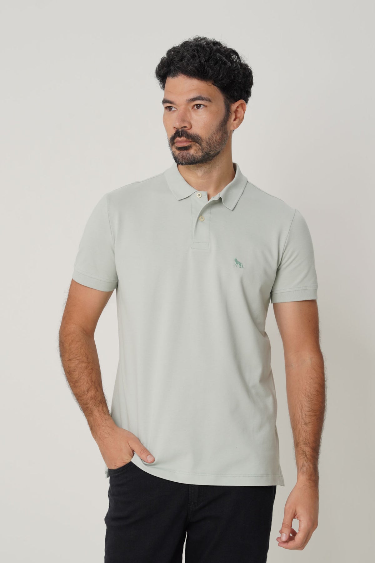 Polo Casual Basic Masculina Acostamento Verde Cidreira