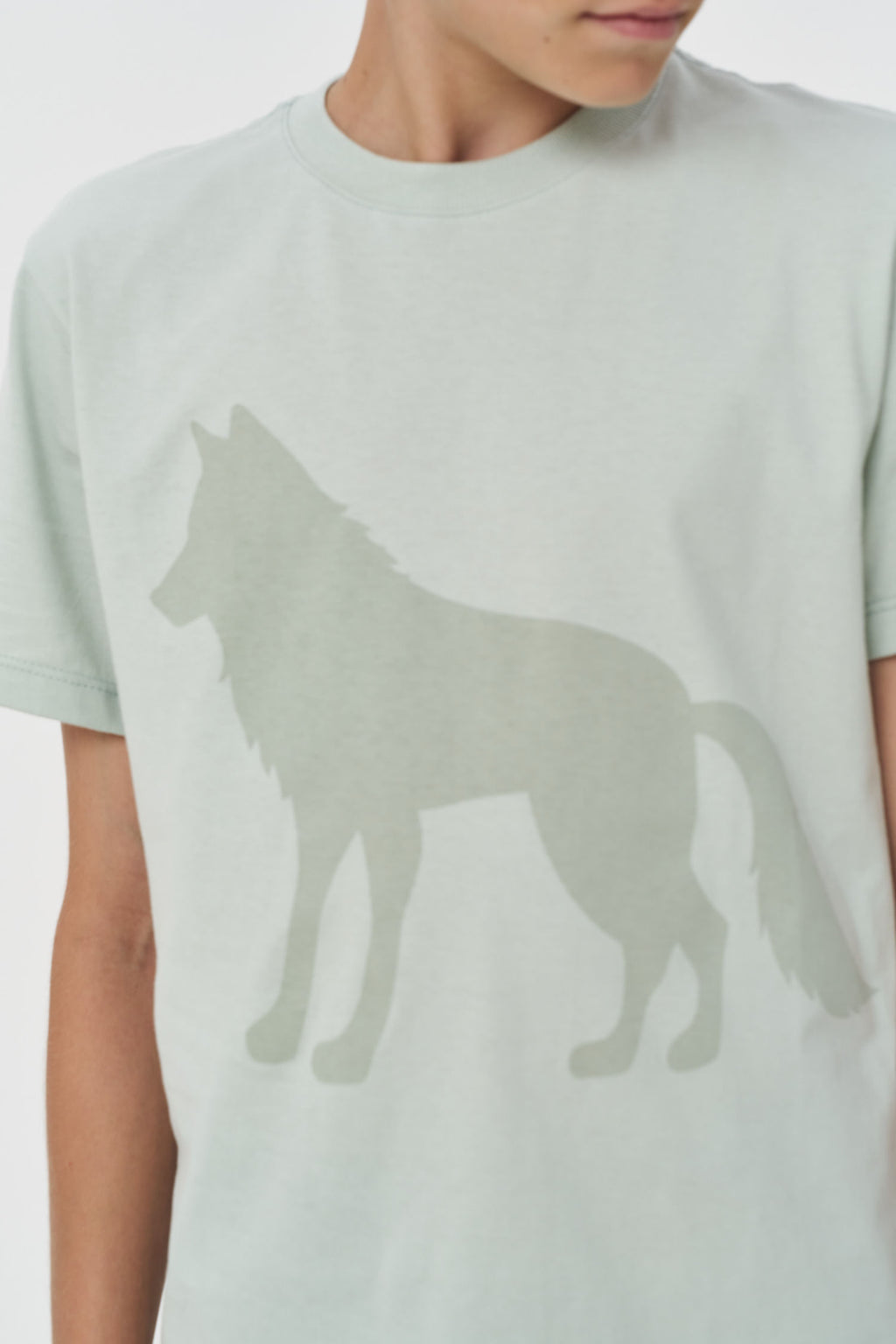 Camiseta Urban Menino Acostamento Next Verde Cidreira