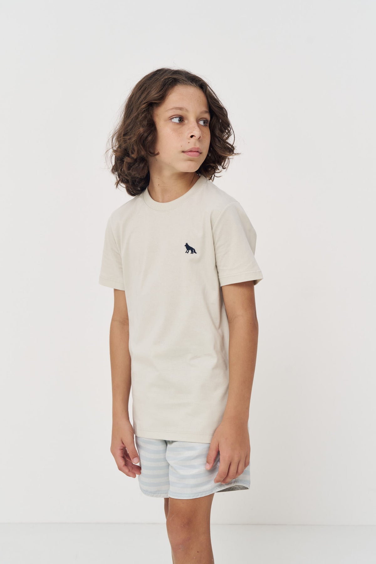 Camiseta Básica Premium Menino Acostamento Next Cinza Gelo