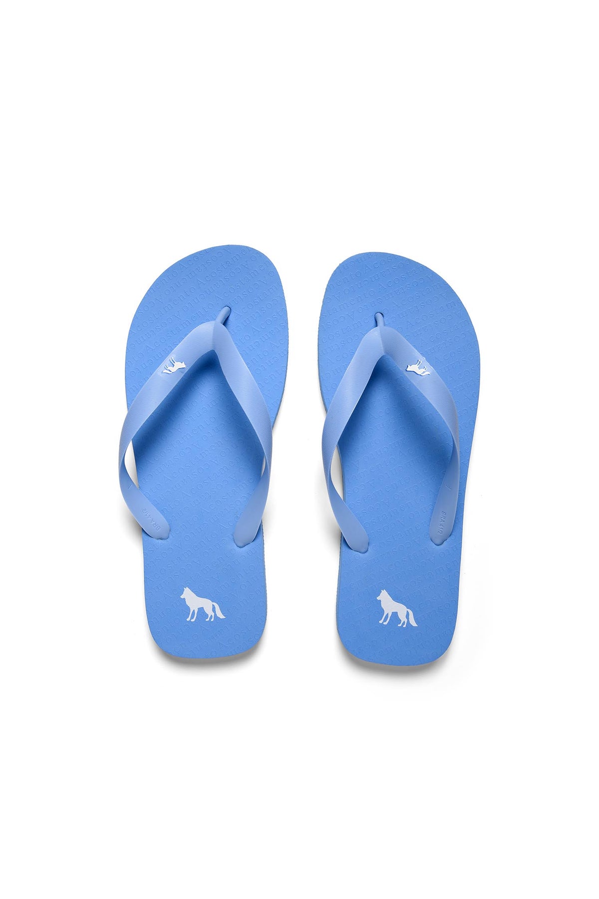 Chinelo Essential Basic Masculino Acostamento Azul Claro