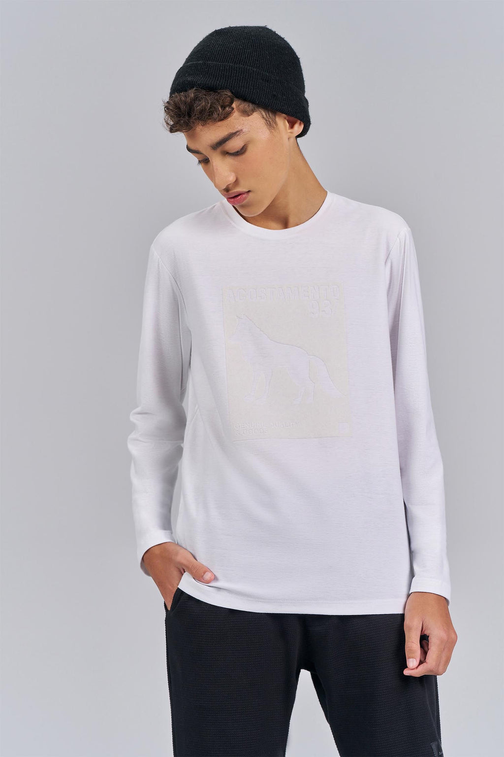 Camiseta Manga Longa Wolf Menino Acostamento Next Branco
