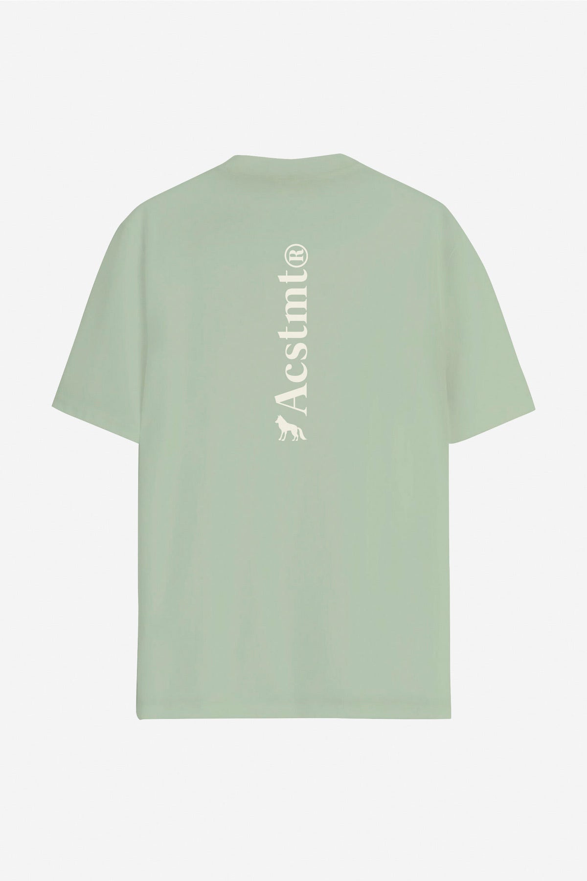 Camiseta Street Casual Masculina Acostamento Verde Cidreira