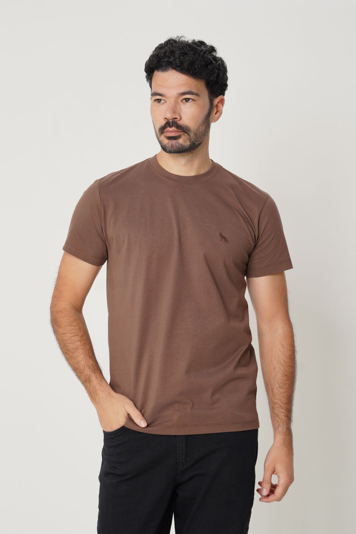 Camiseta Básica Com Bordado Masculina Acostamento Marrom Ipe