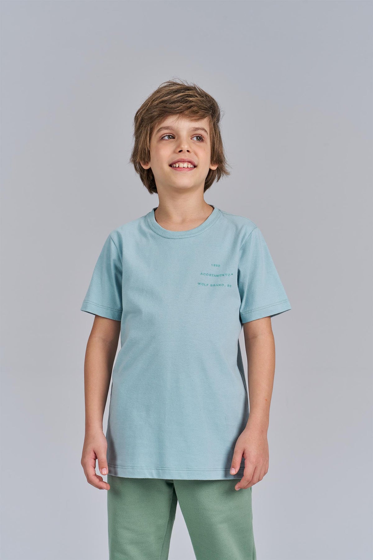 Camiseta Wolf Brand Menino Acostamento Next Verde Ibiza
