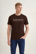 Camiseta Big Shirt Masculina Acostamento Marrom Ipe