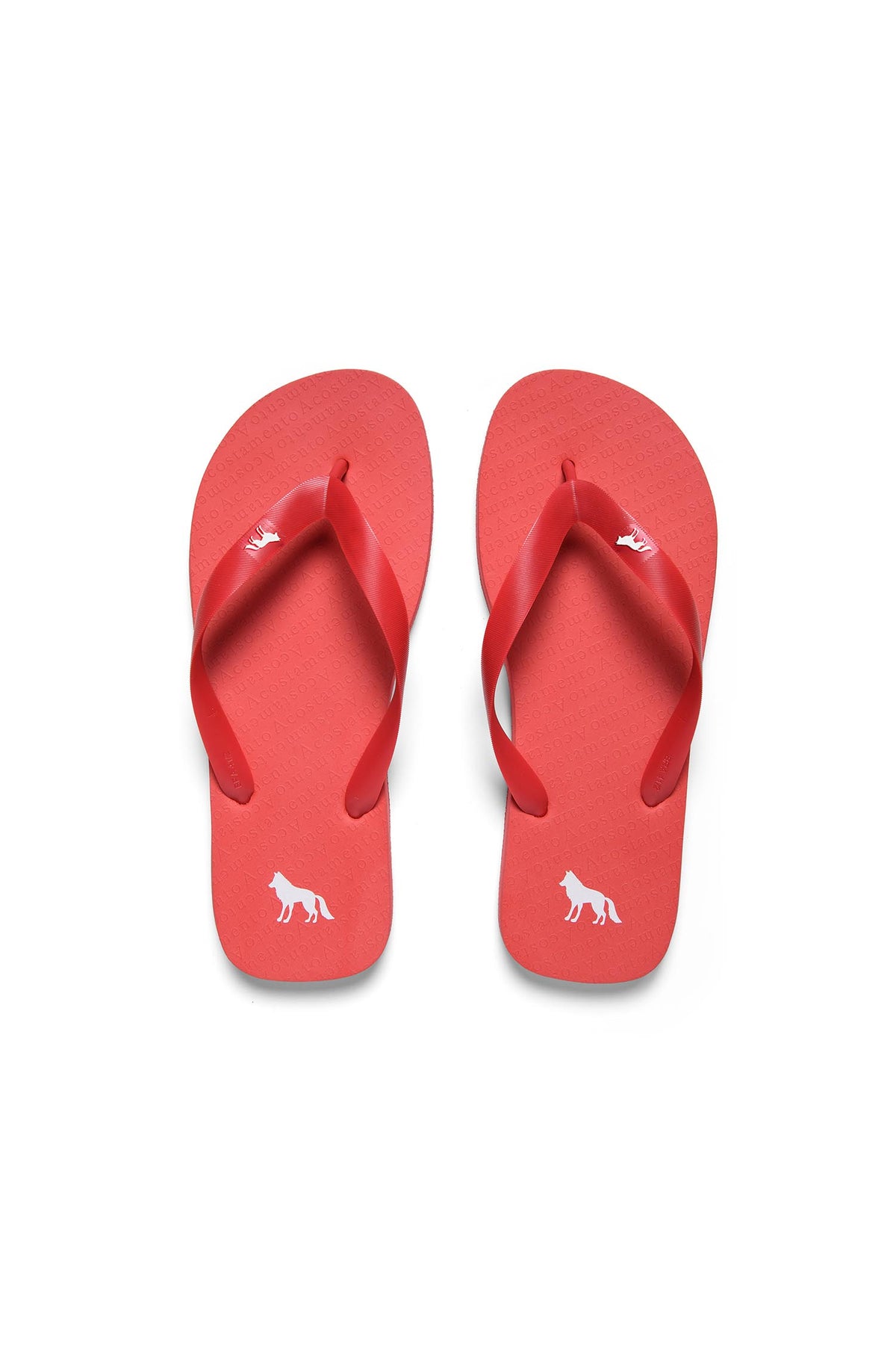 Chinelo Essential Basic Masculino Acostamento Vermelho