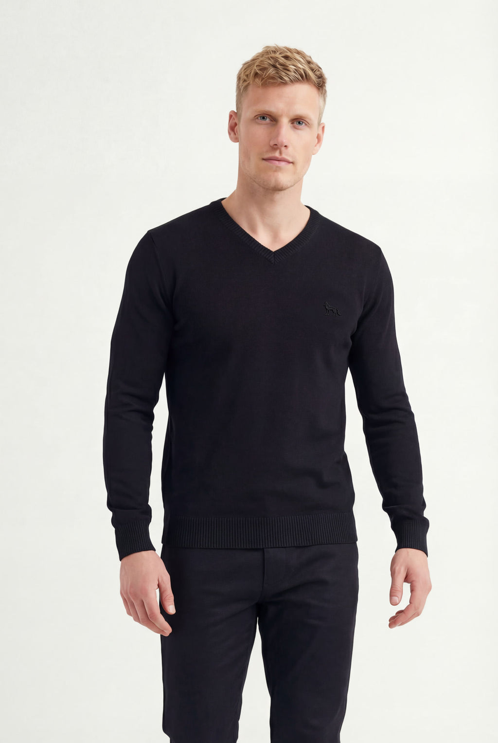 Suéter Tricot Gola V Masculino Acostamento Preto