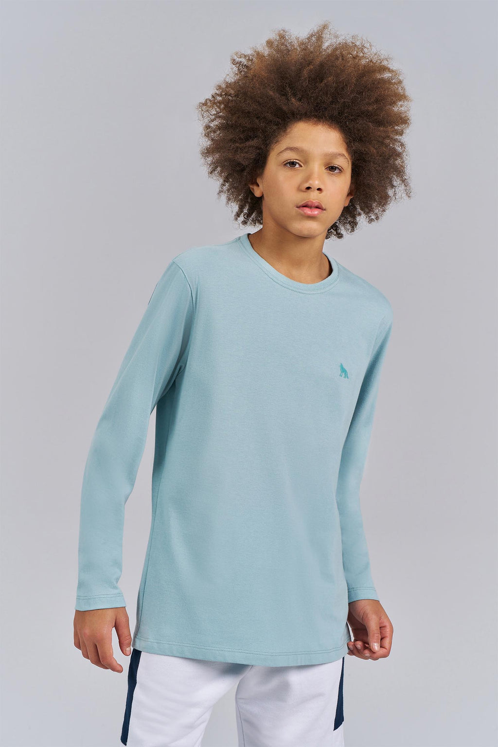 Camiseta Manga Longa Basic Menino Acostamento Next Verde Ibiza