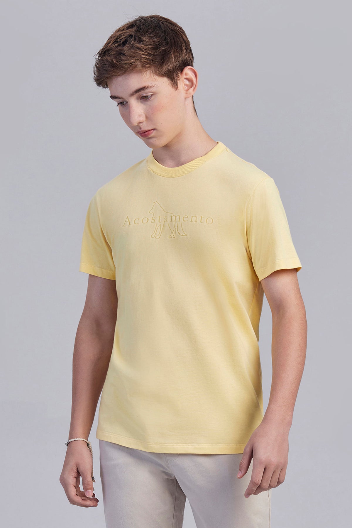 Camiseta Básica Lobo Menino Acostamento Next Vermelho Chilli