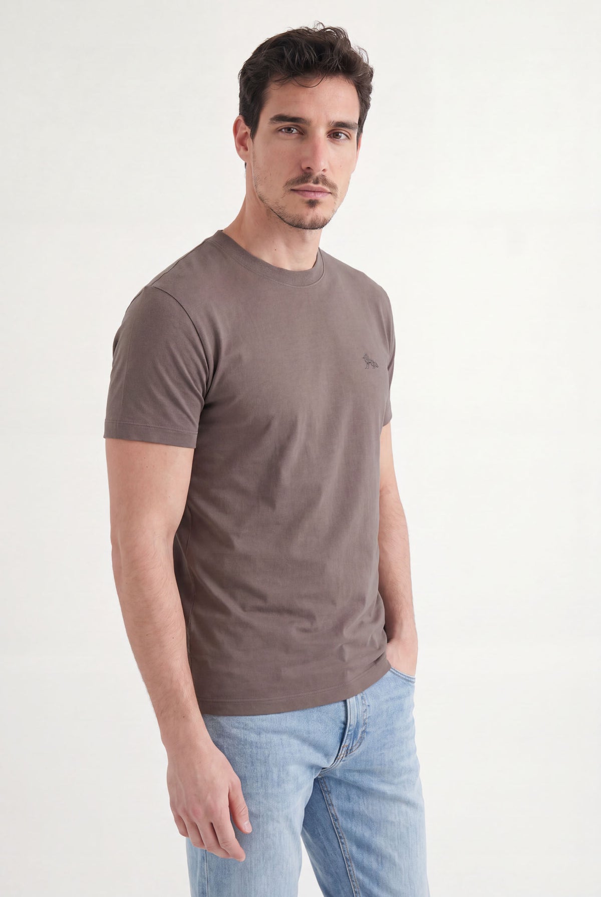 Camiseta Básica Lobo Bordado Masculina Acostamento Marrom Ipe