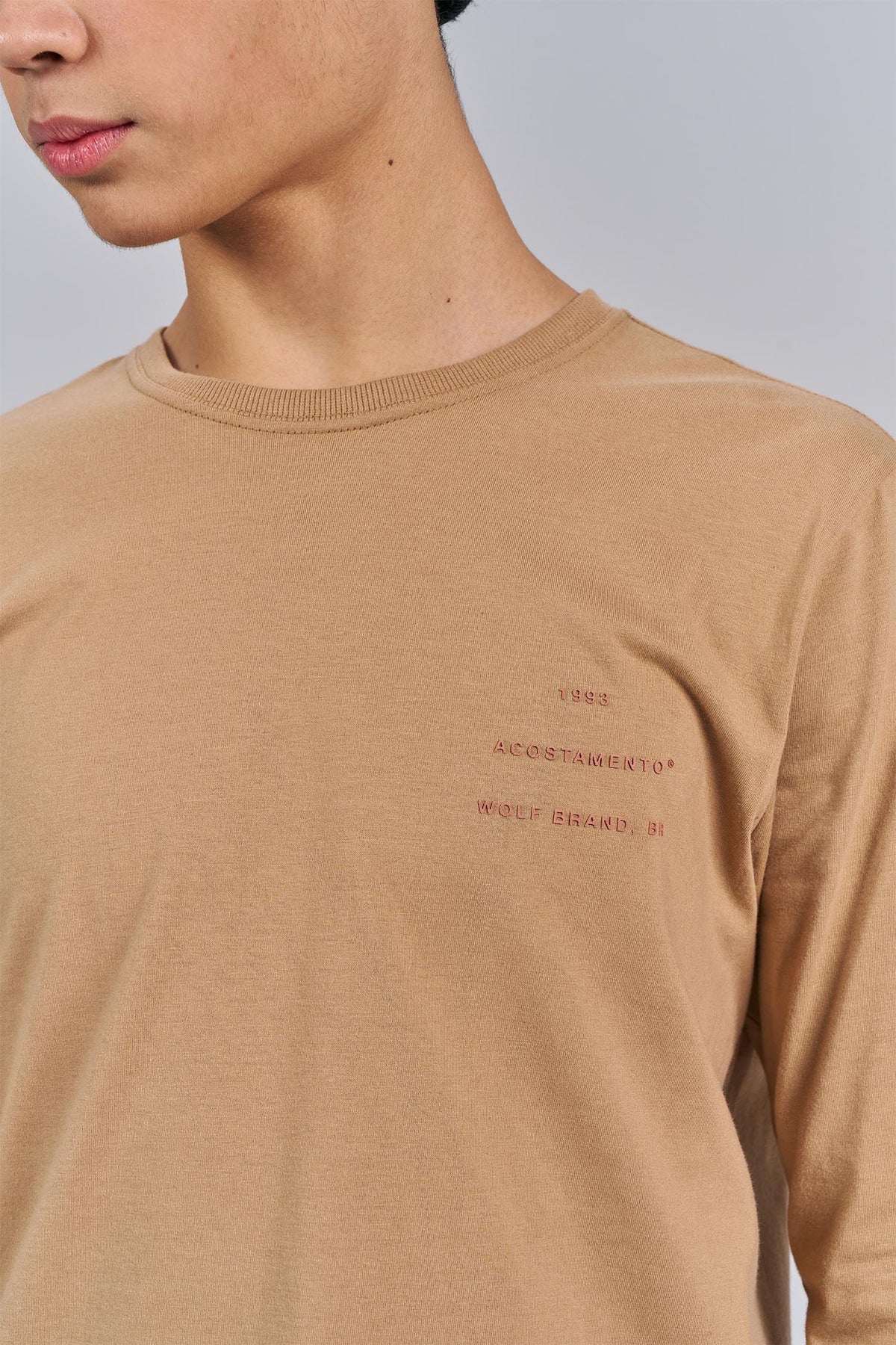 Camiseta Manga Longa Classic Menino Acostamento Next Bege Caqui