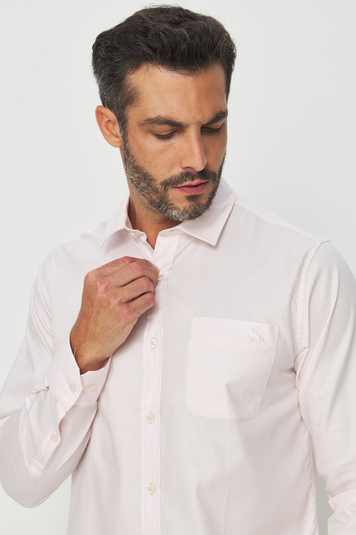 Camisa Manga Longa Scrivania Masculina Acostamento Rosa