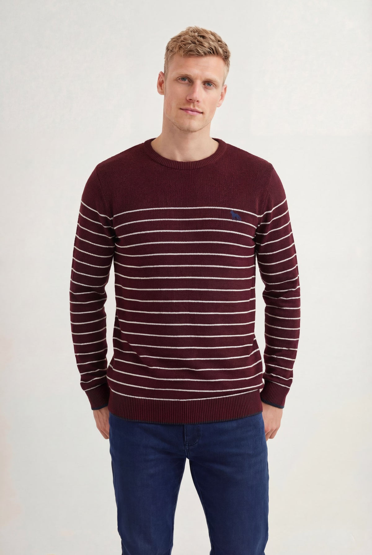 Suéter Tricot Listrado Masculino Acostamento Bordo