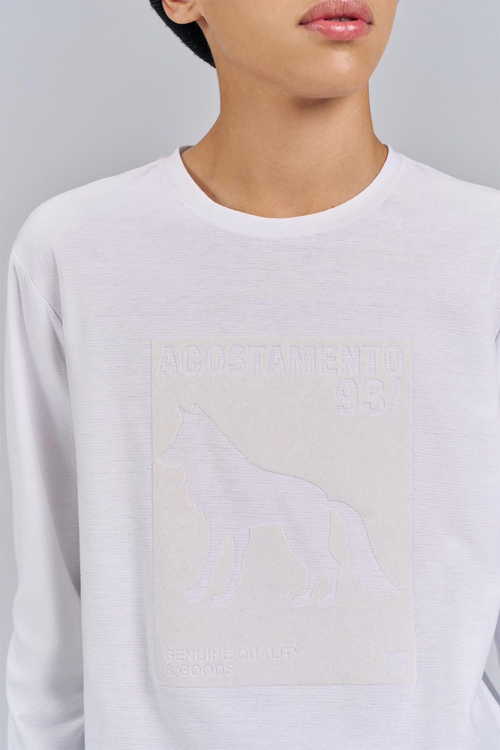 Camiseta Manga Longa Wolf Menino Acostamento Next Branco