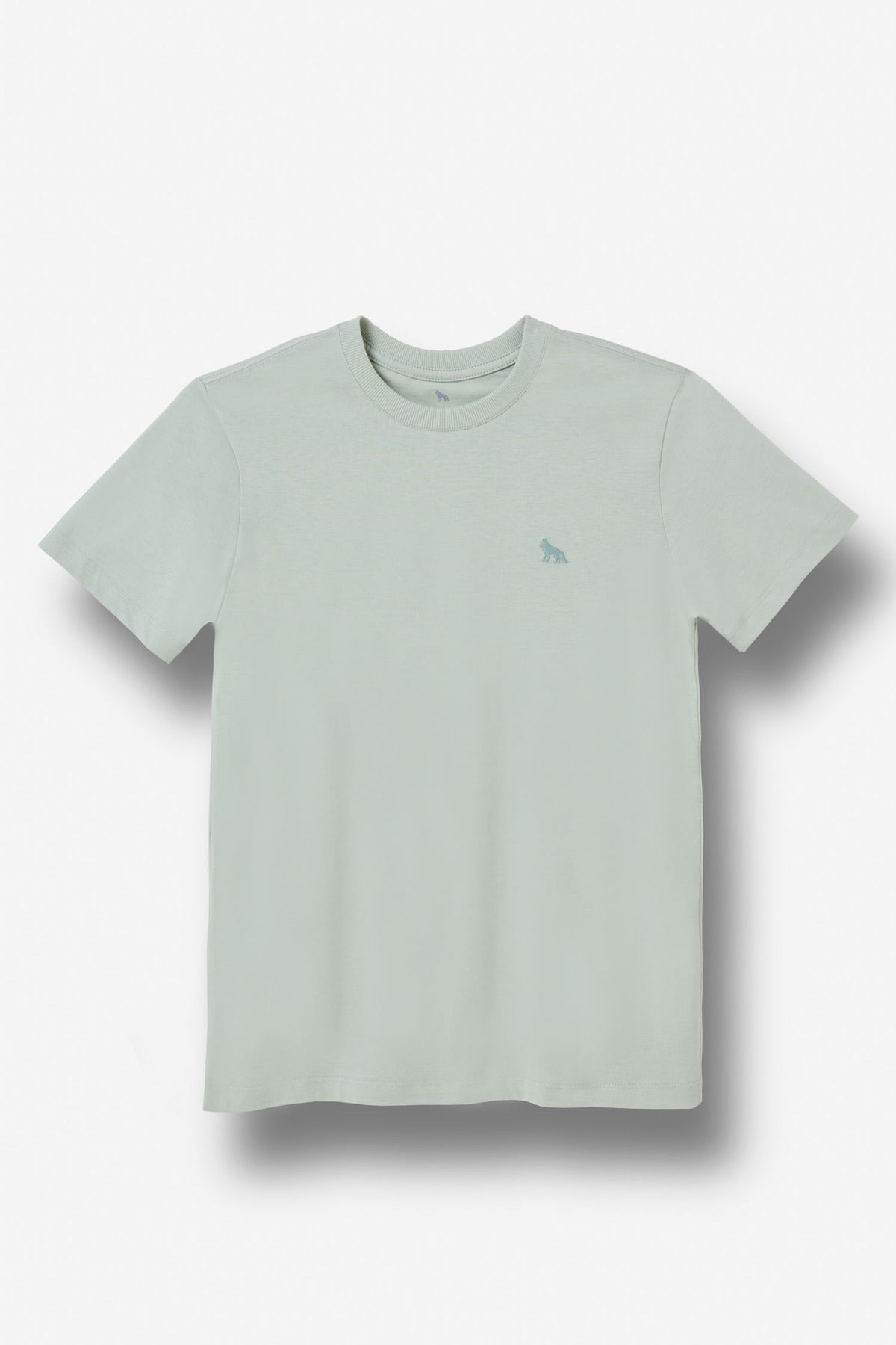 Camiseta Básica Menino Acostamento Next Verde Cidreira