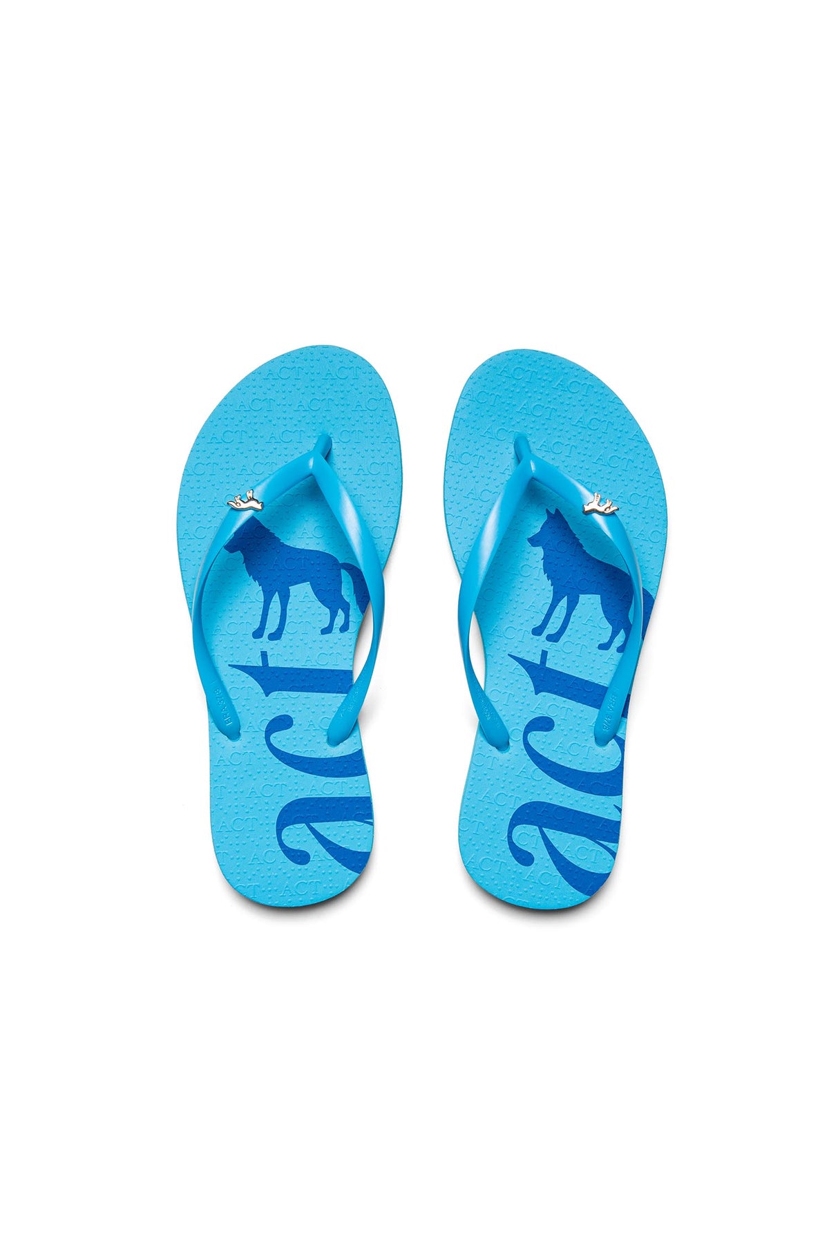 Chinelo Texturizado Letter Minimal ACT Feminino Azul Neon
