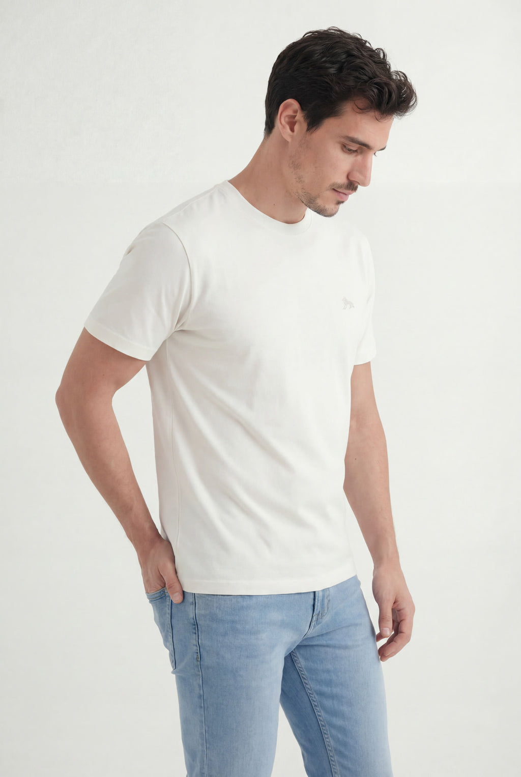 Camiseta Básica Lobo Bordado Masculina Acostamento Off White