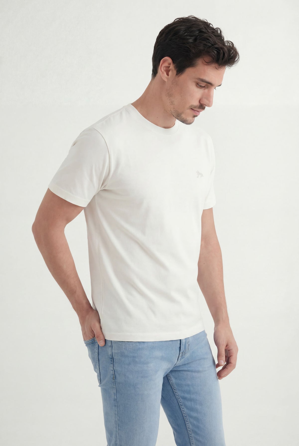 Camiseta Básica Lobo Bordado Masculina Acostamento Off White