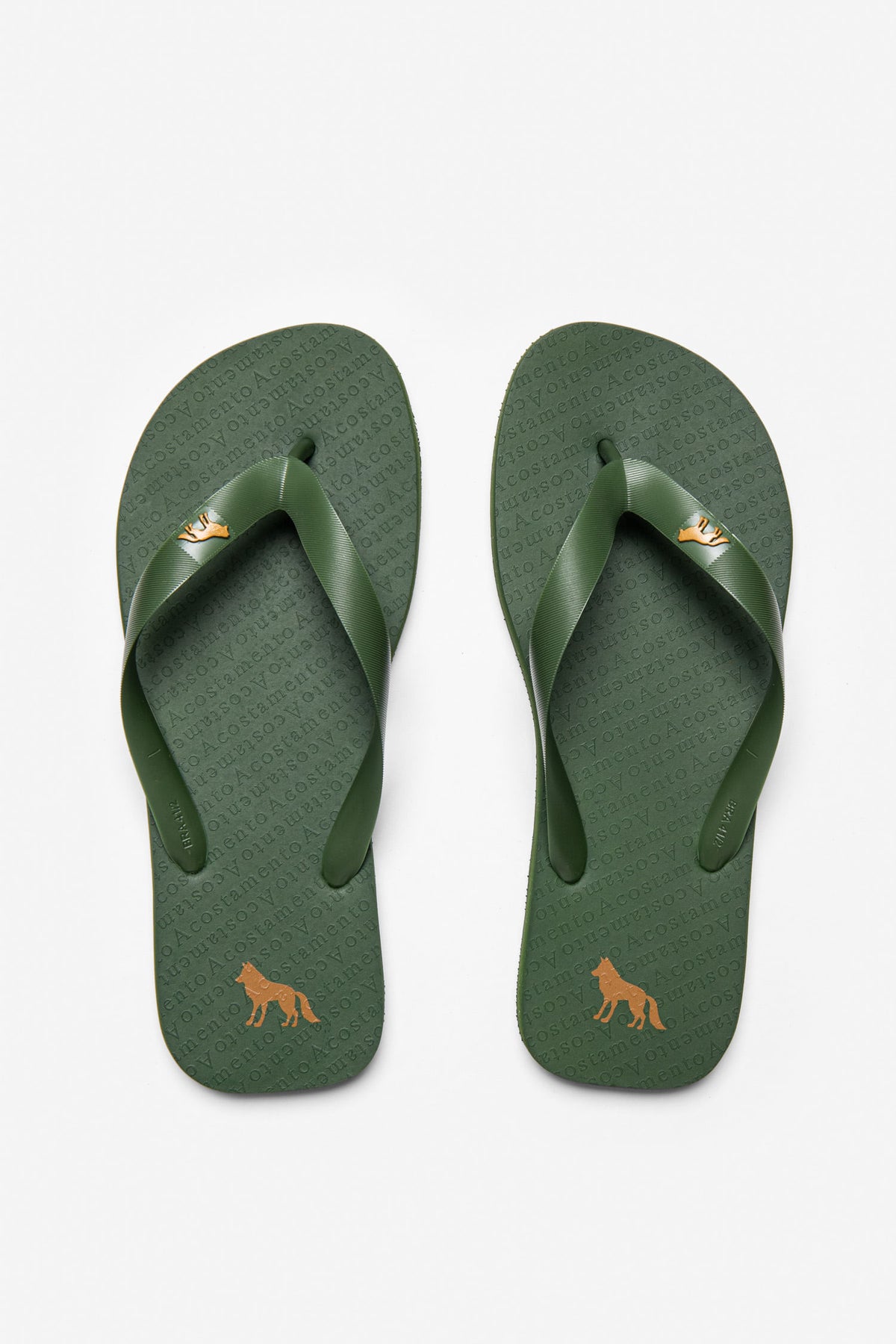 Chinelo Lobo Instinto Masculino Acostamento Verde