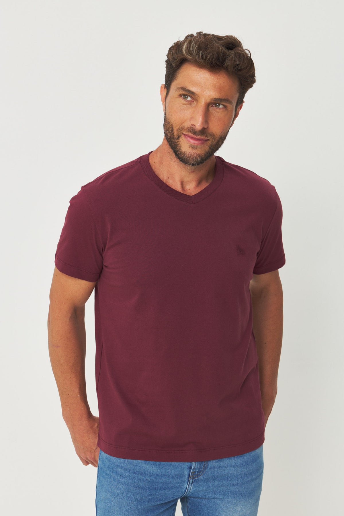 Camiseta Casual Gola V Masculina Acostamento Barca