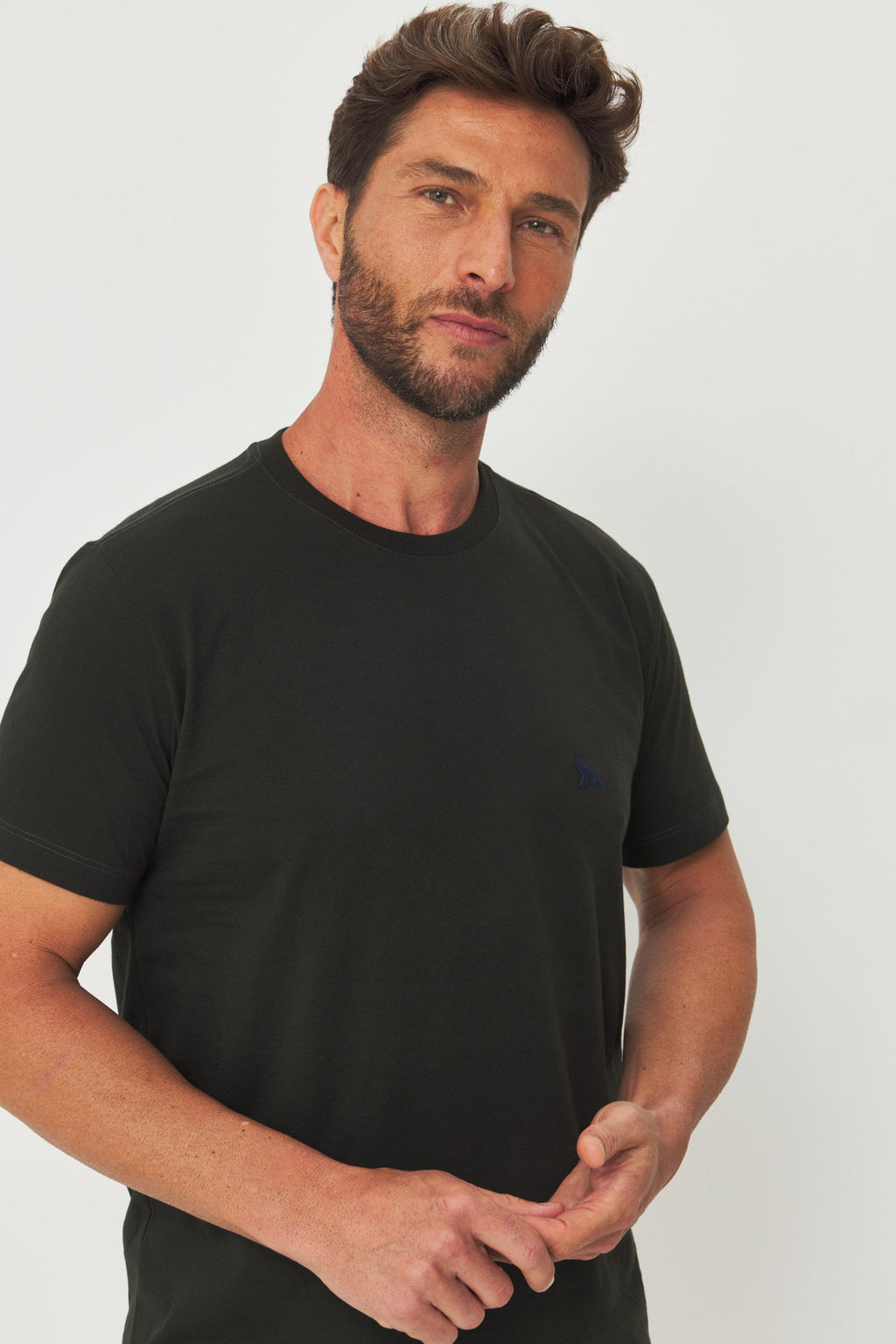 Camiseta Logo Bordada Masculina Acostamento Verde Folhagem