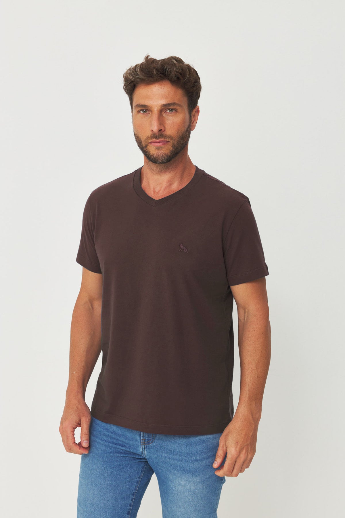 Camiseta Casual Gola V Masculina Acostamento Marrom Ipe