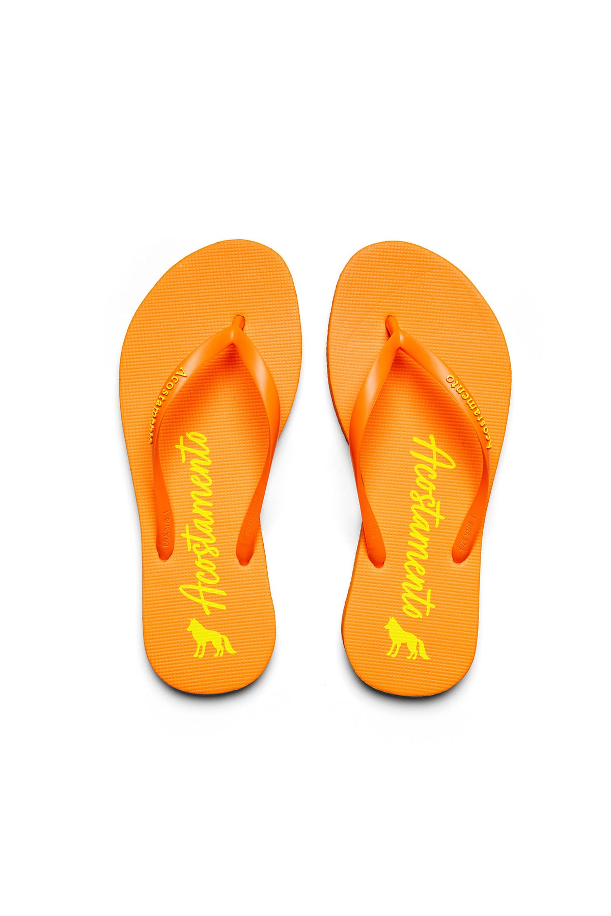 Chinelo Lobo Assinatura ACT Feminino Laranja Neon