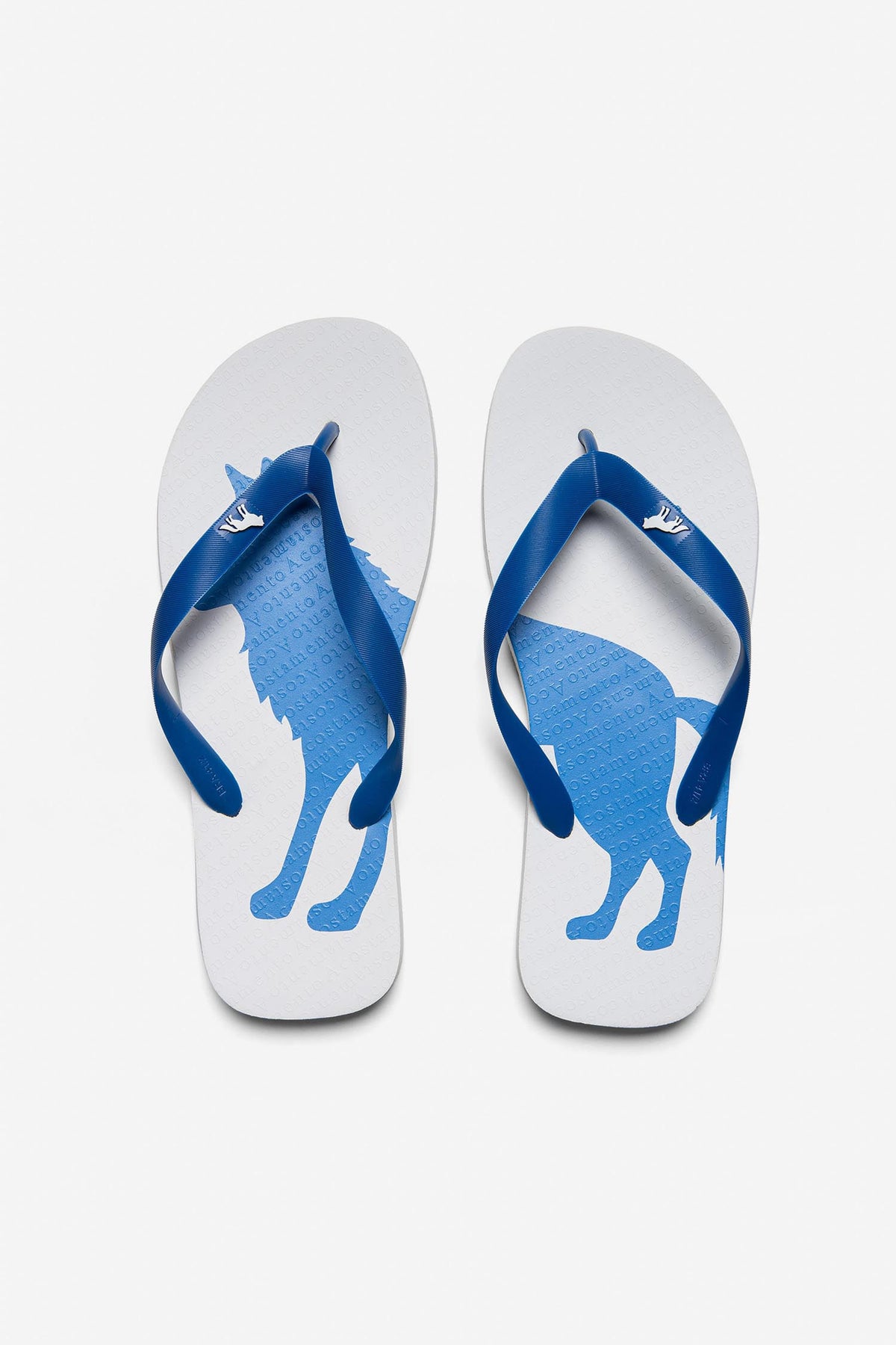 Chinelo O Lobo Masculino Acostamento Turquesa