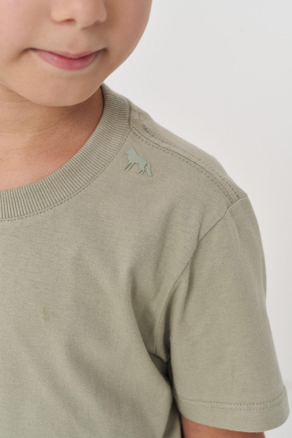 Camiseta Basic Manga Curta Menino Acostamento Nex Verde Salvia