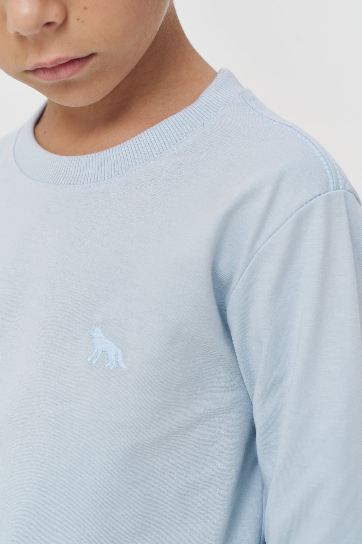 Camiseta Manga Longa Menino Acostamento Next Azul Maresia