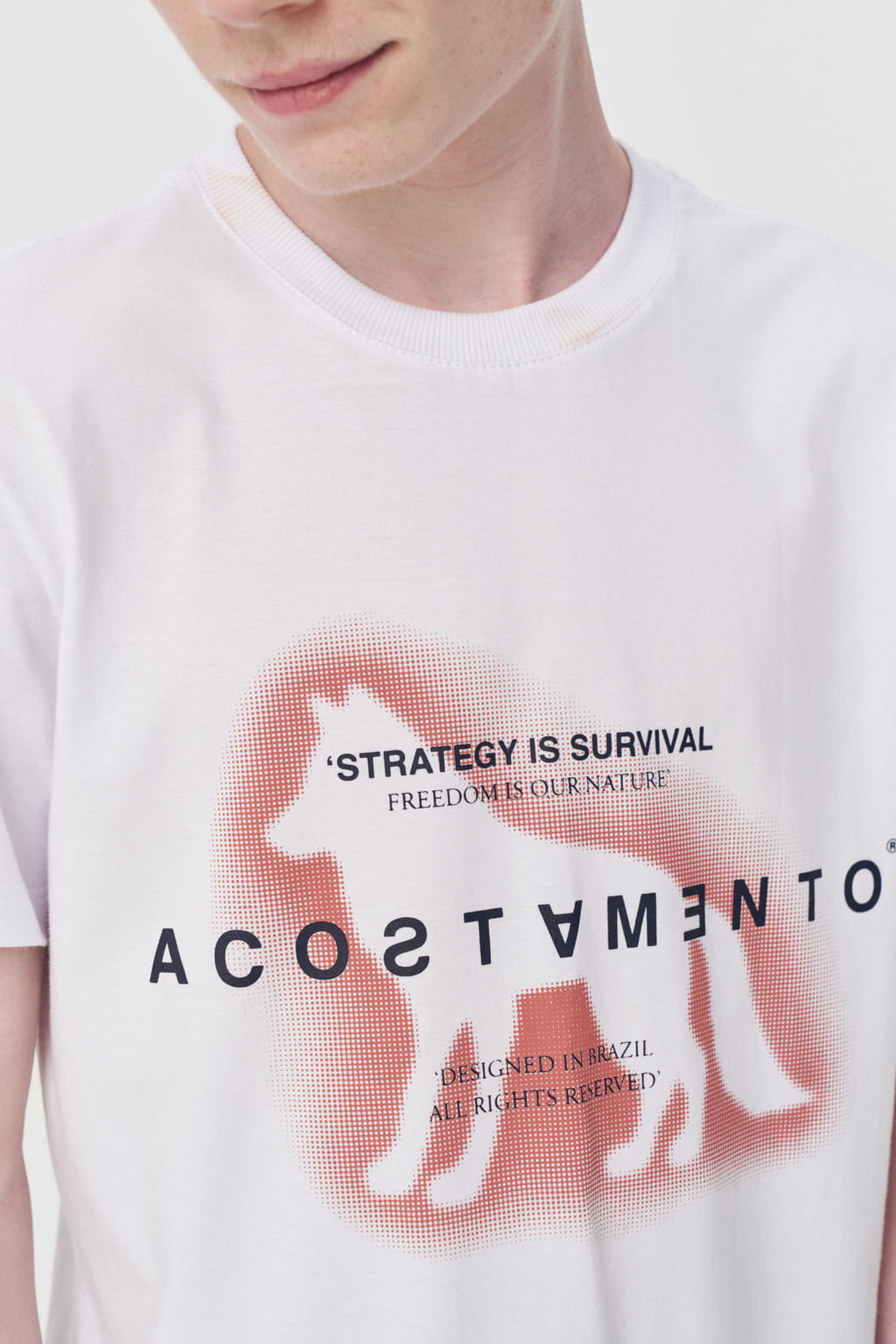 Camiseta Estampada Menino Acostamento Next Branco