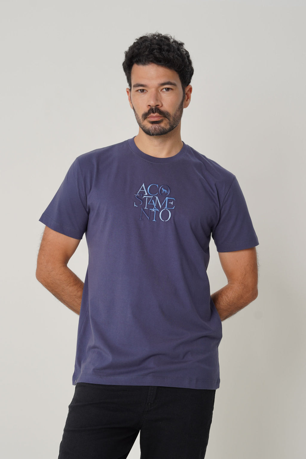 Camiseta Casual Logo Masculina Acostamento Azul Navy