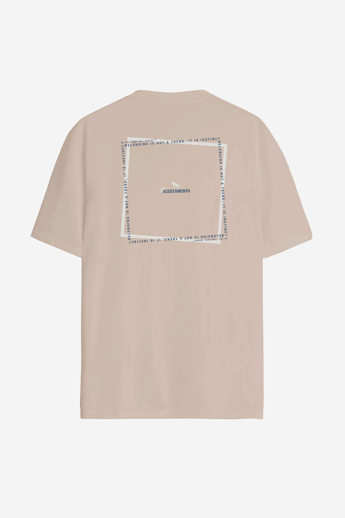 Camiseta Estampa Geométrica Masculino Acostamento Goanna