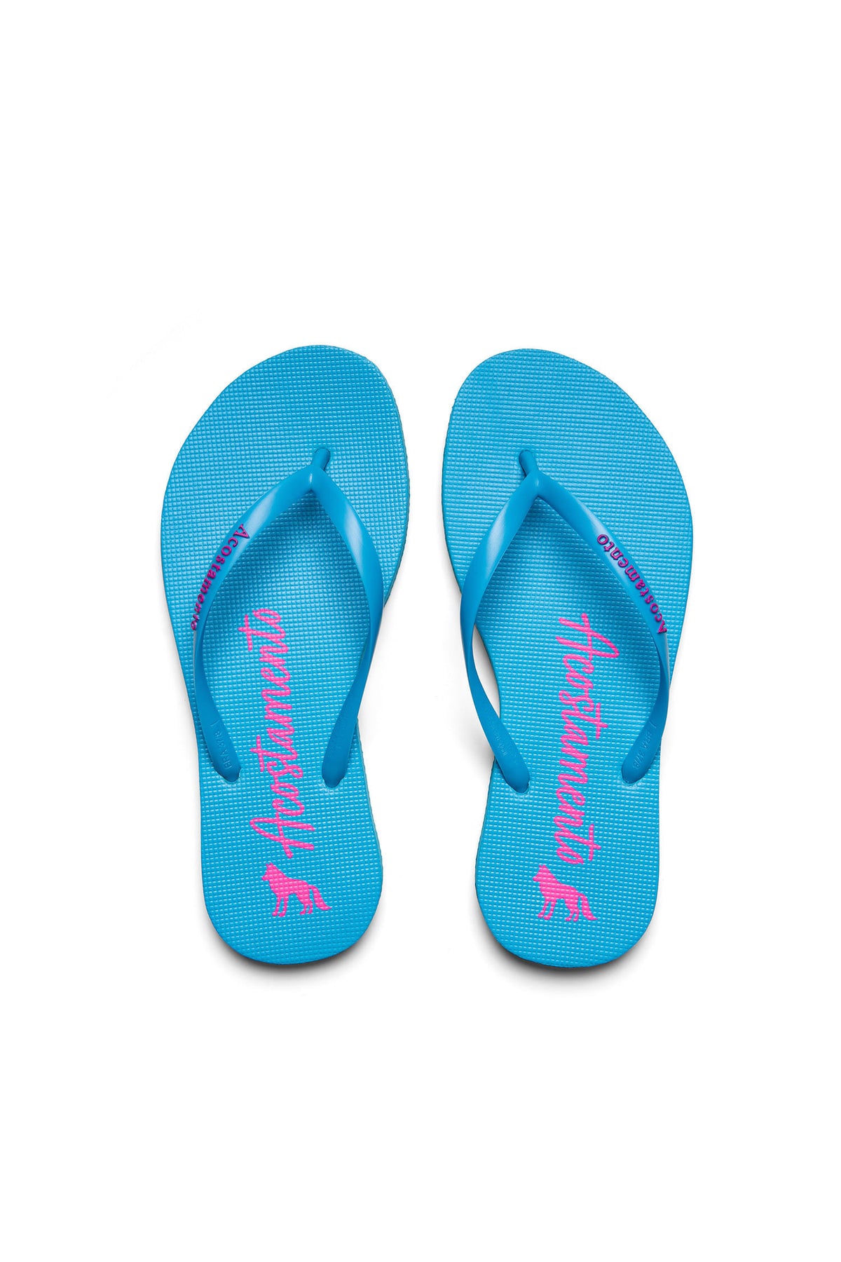 Chinelo Lobo Assinatura ACT Feminino Azul Neon