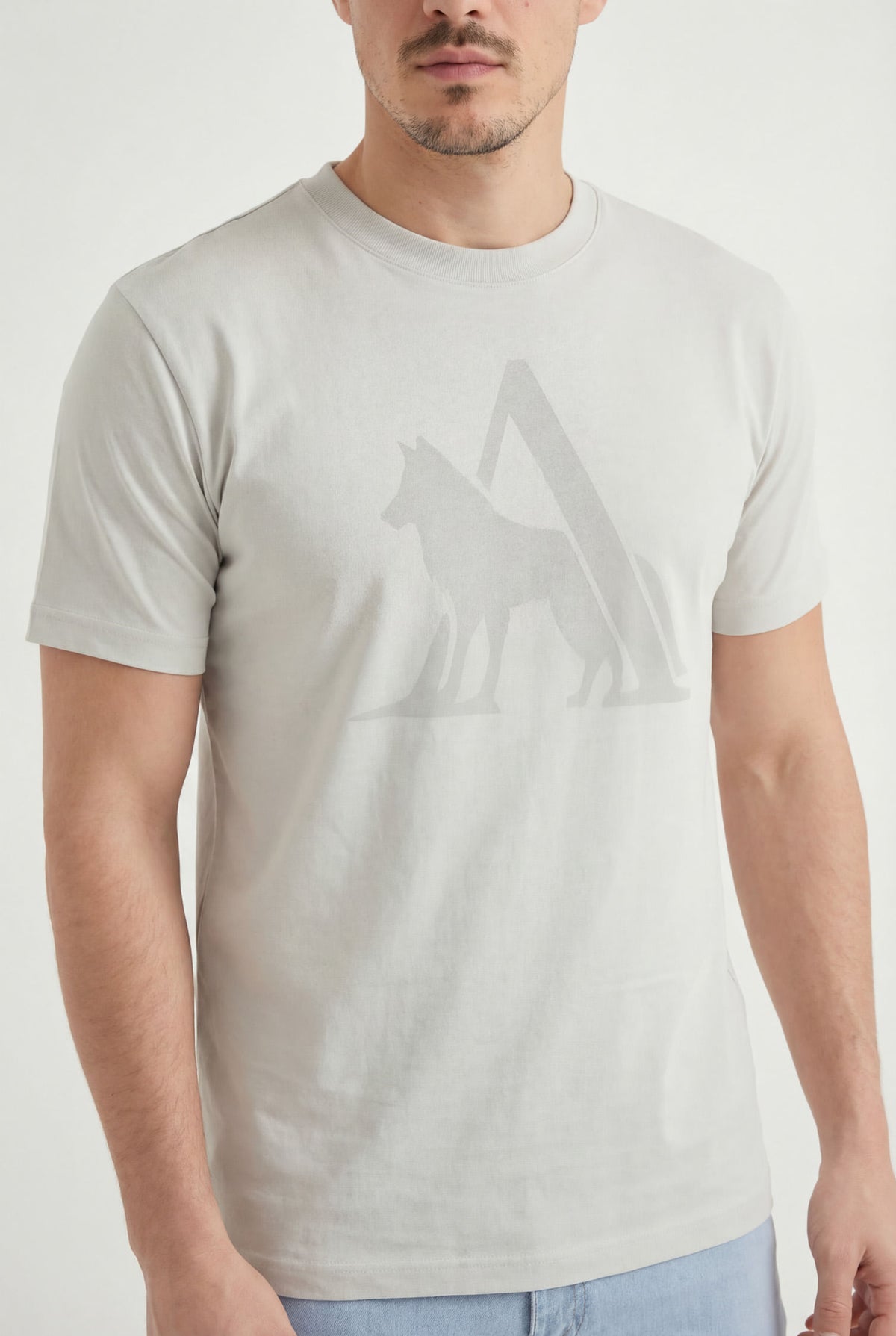 Camiseta Com Estampa Frontal Masculina Acostamento Cinza Gelo