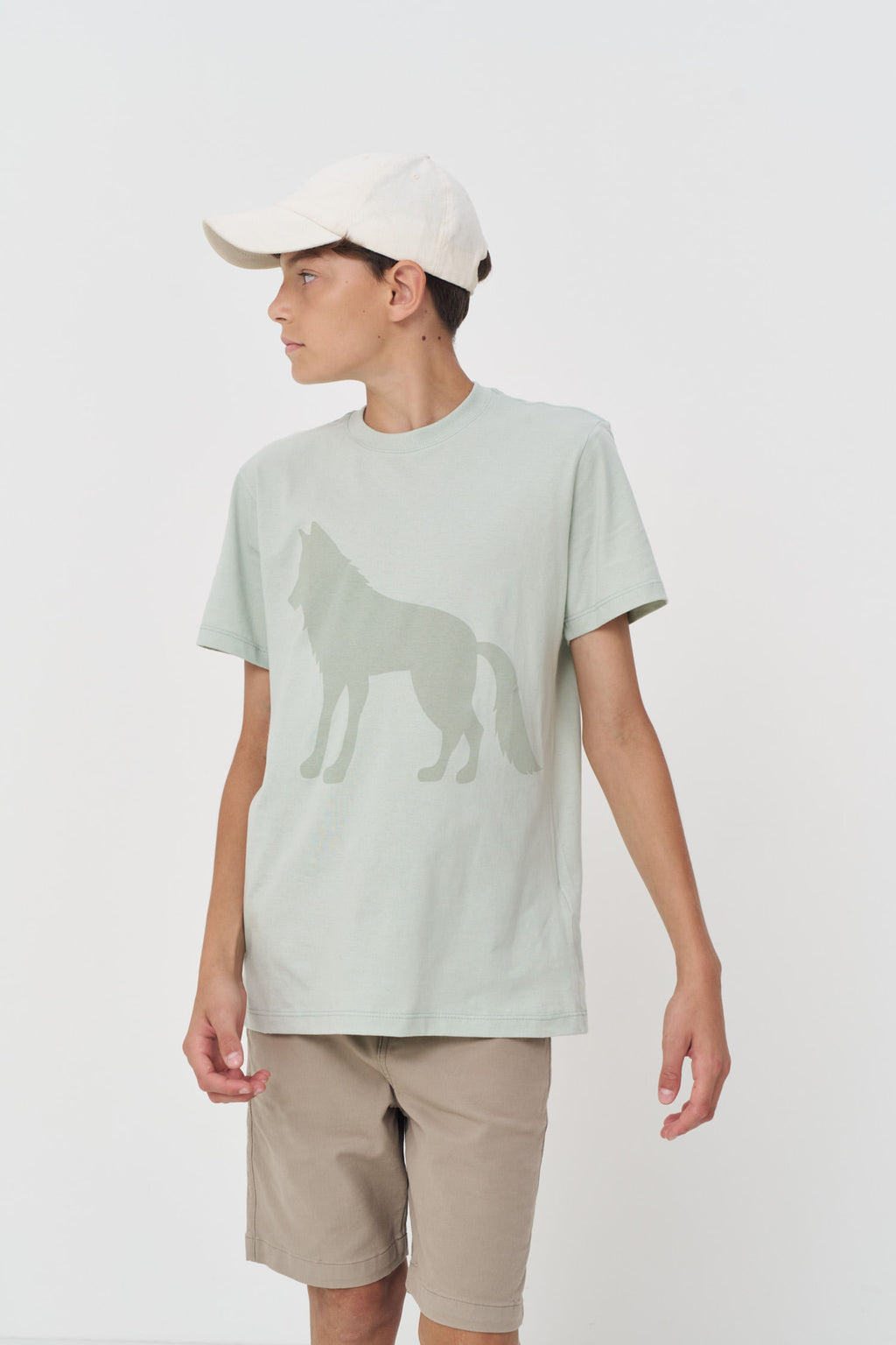 Camiseta Urban Menino Acostamento Next Verde Cidreira