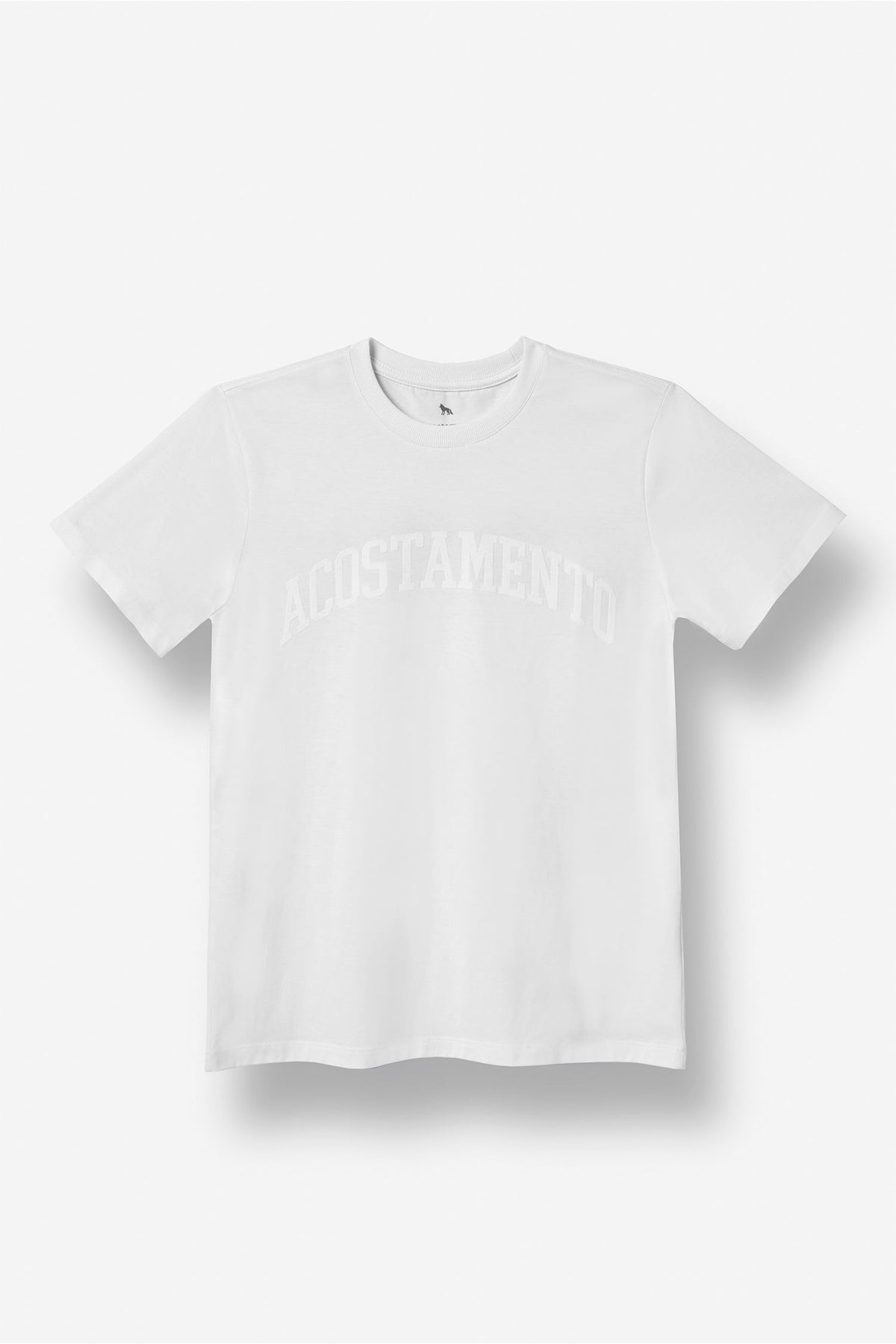 Camiseta Estampada Menino Acostamento Next Branco