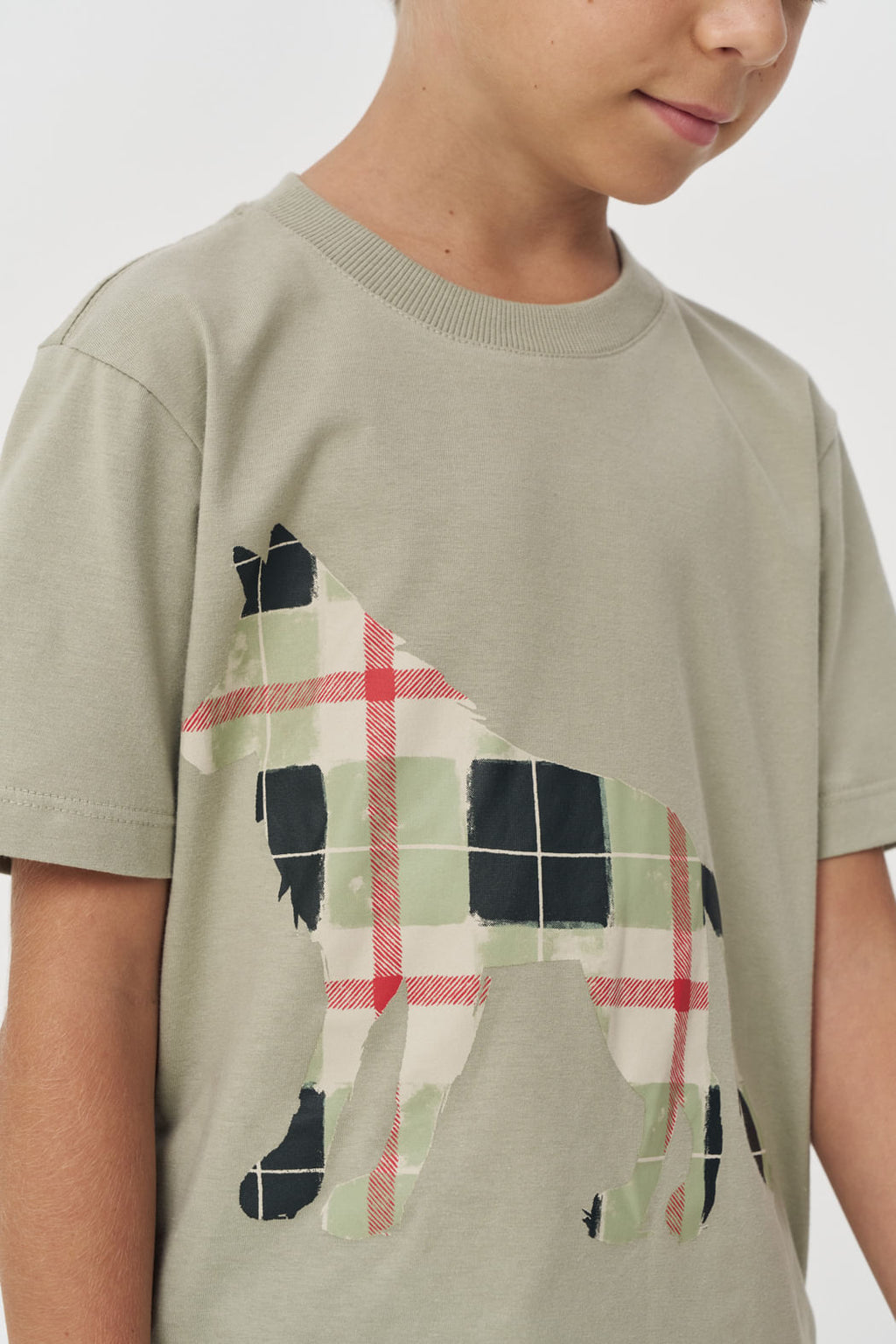 Camiseta Estampa Lobo Menino Acostamento Next Verde Salvia