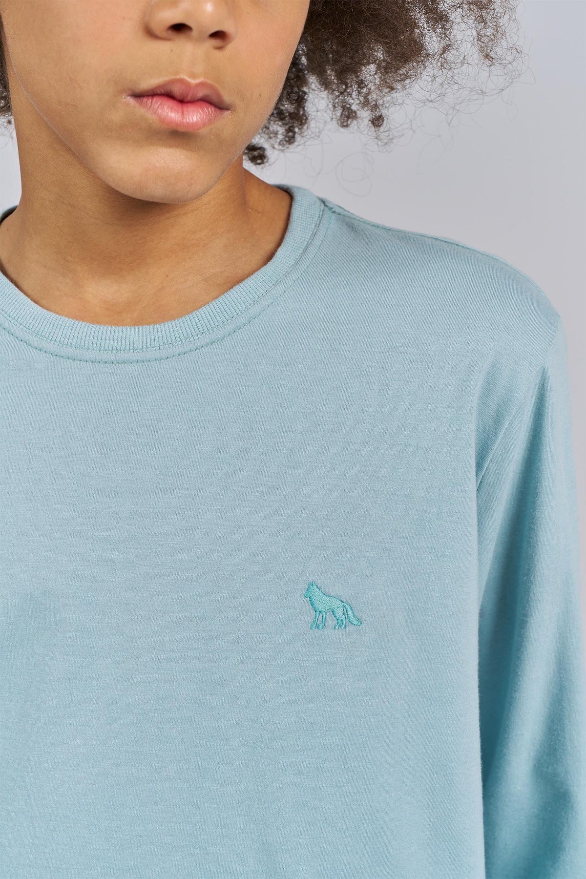 Camiseta Manga Longa Basic Menino Acostamento Next Verde Ibiza