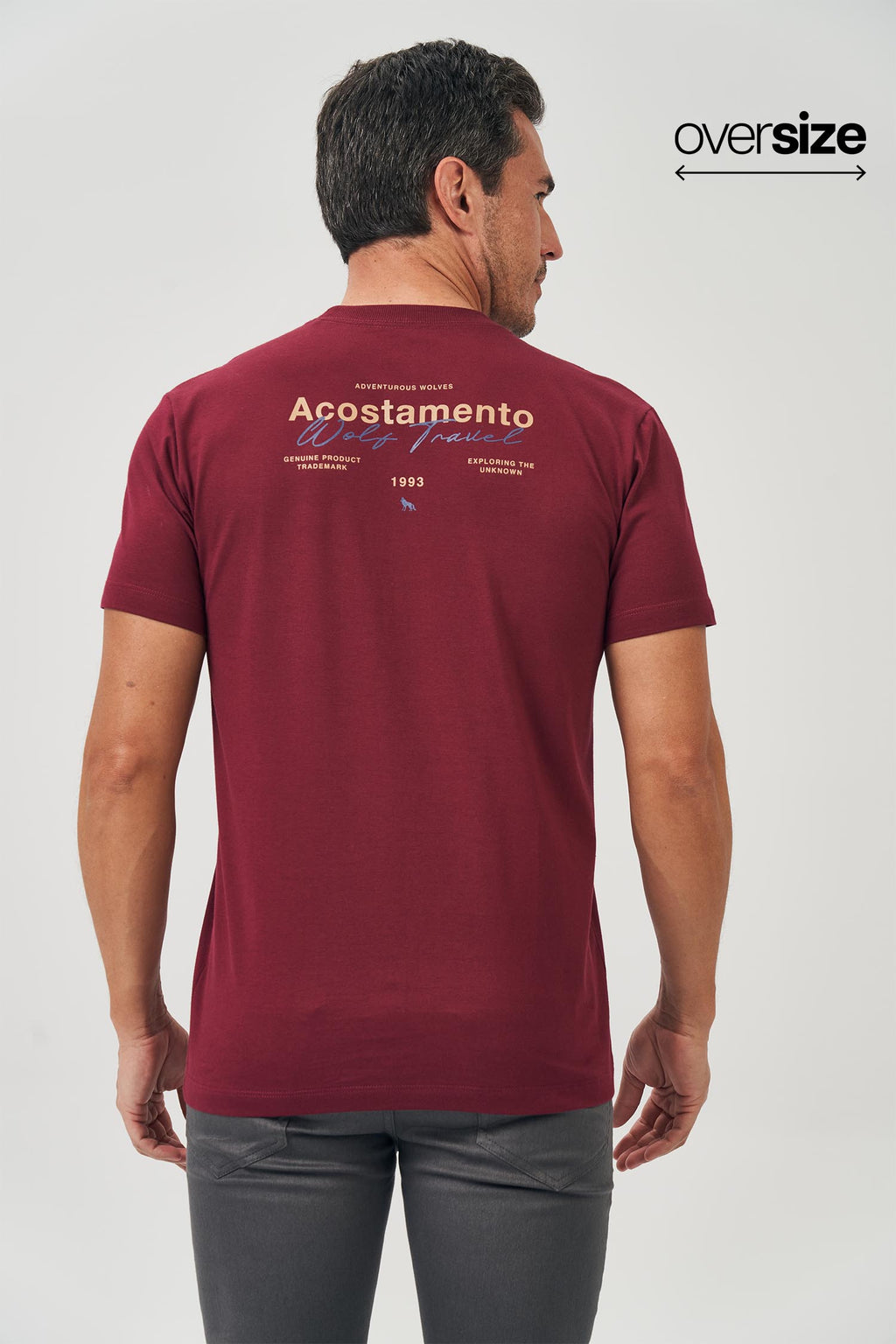 Camiseta Adventurous Wolves Masculina Oversize Acostamento Bordo Sangria