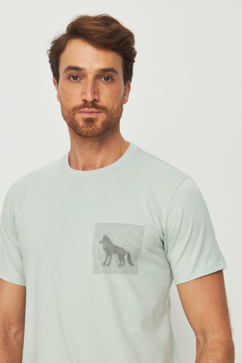 Camiseta Estampa Lobo Pontilhado Masculina Acostamento Verde Cidreira