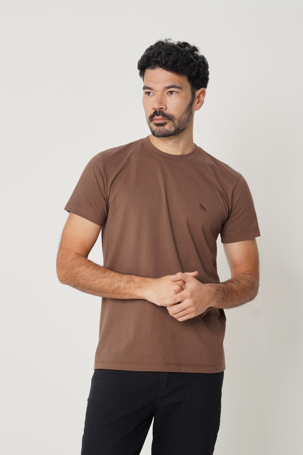 Camiseta Básica Com Bordado Masculina Acostamento Marrom Ipe