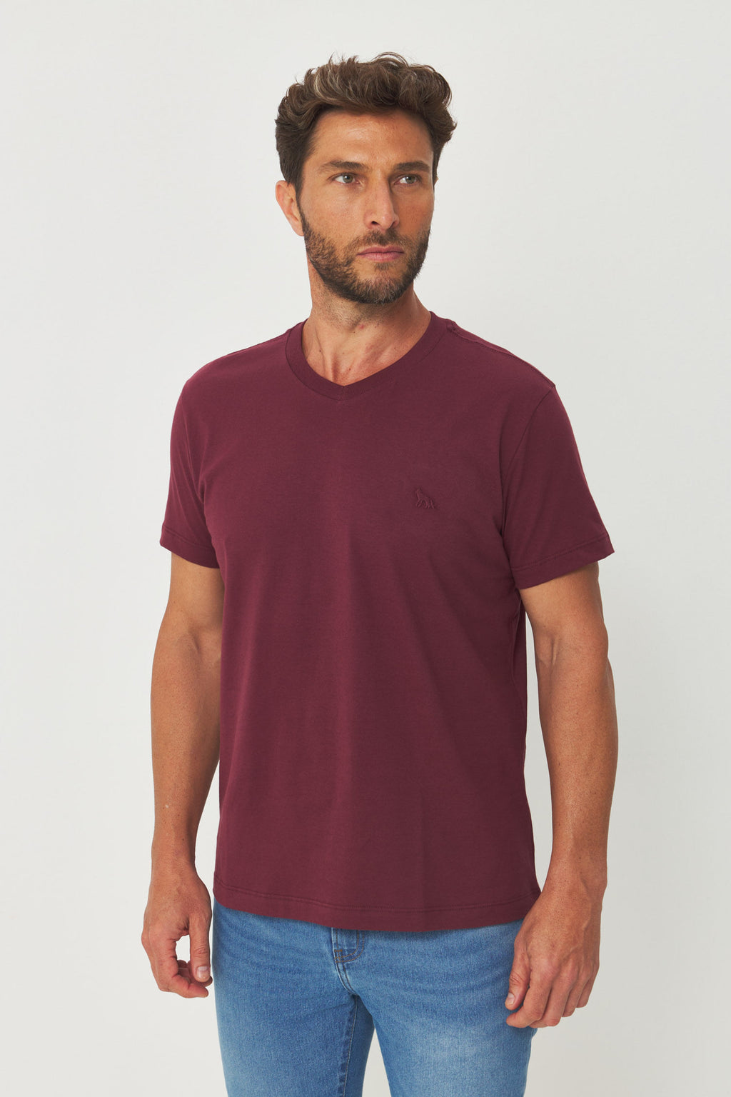 Camiseta Casual Gola V Masculina Acostamento Barca