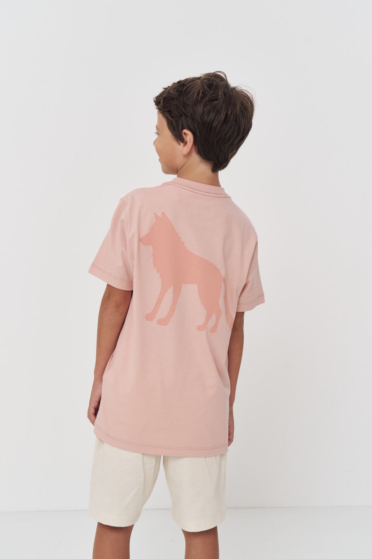 Camiseta Estilo Casual Menino Acostamento Next Rosa Cha
