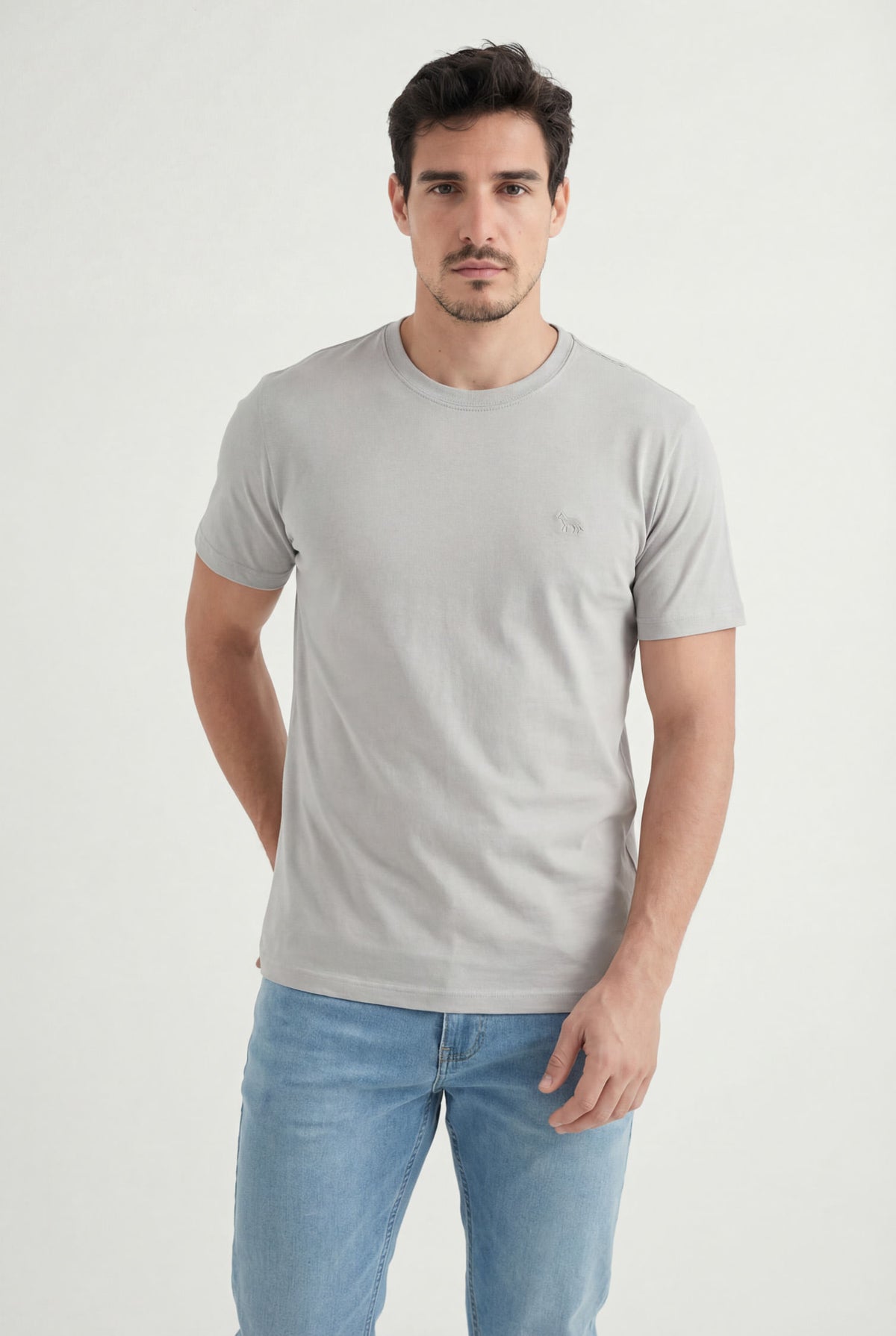 Camiseta Básica Lobo Bordado Masculina Acostamento Cinza Gelo