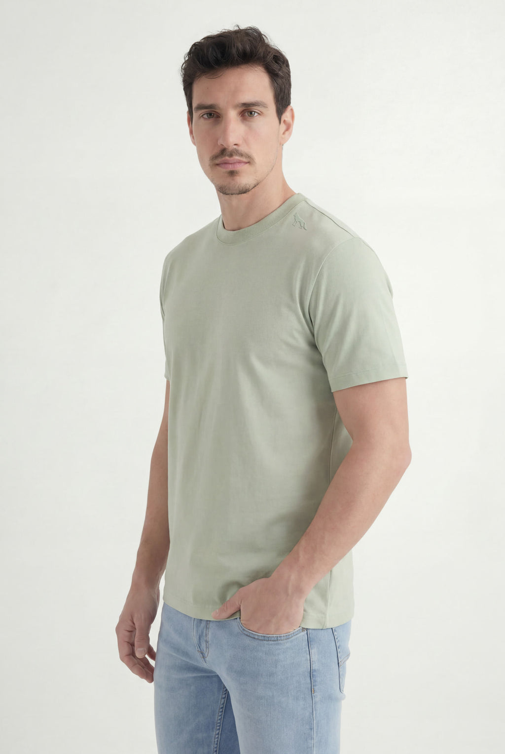 Camiseta Básica Masculino Acostamento Verde Cidreira